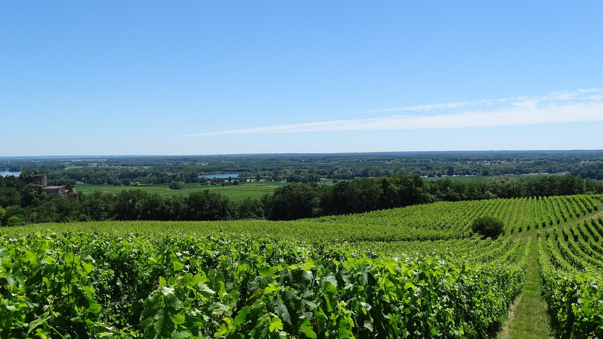 France-Obseques-Agence-region-Bordeaux